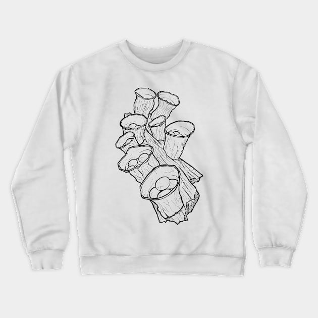 Bird's Nest Mushroom Crewneck Sweatshirt by mycologist